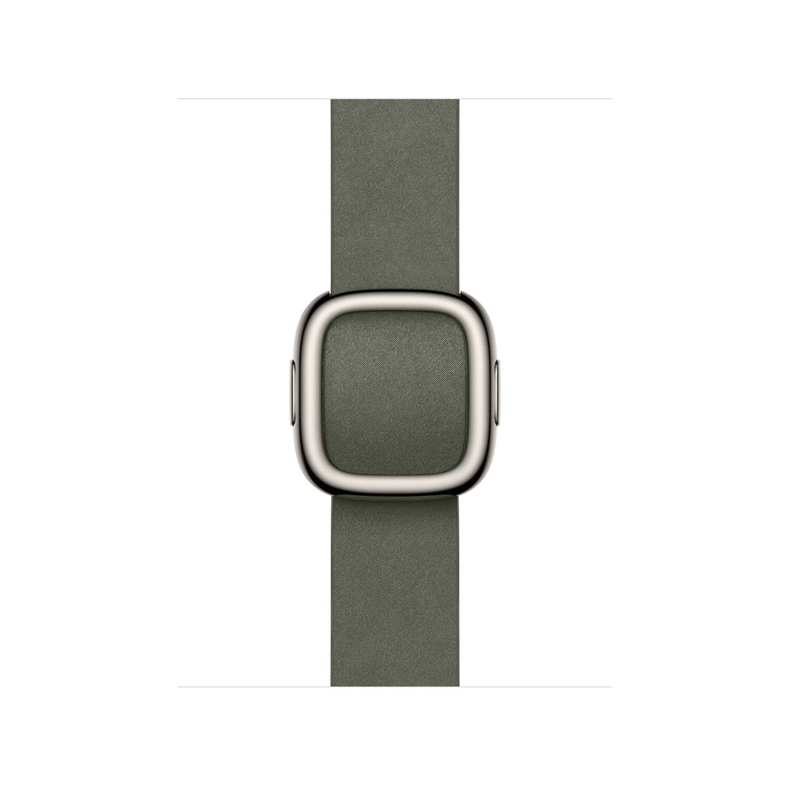 Apple Watch Sage Gray Modern Buckle - M 42mm