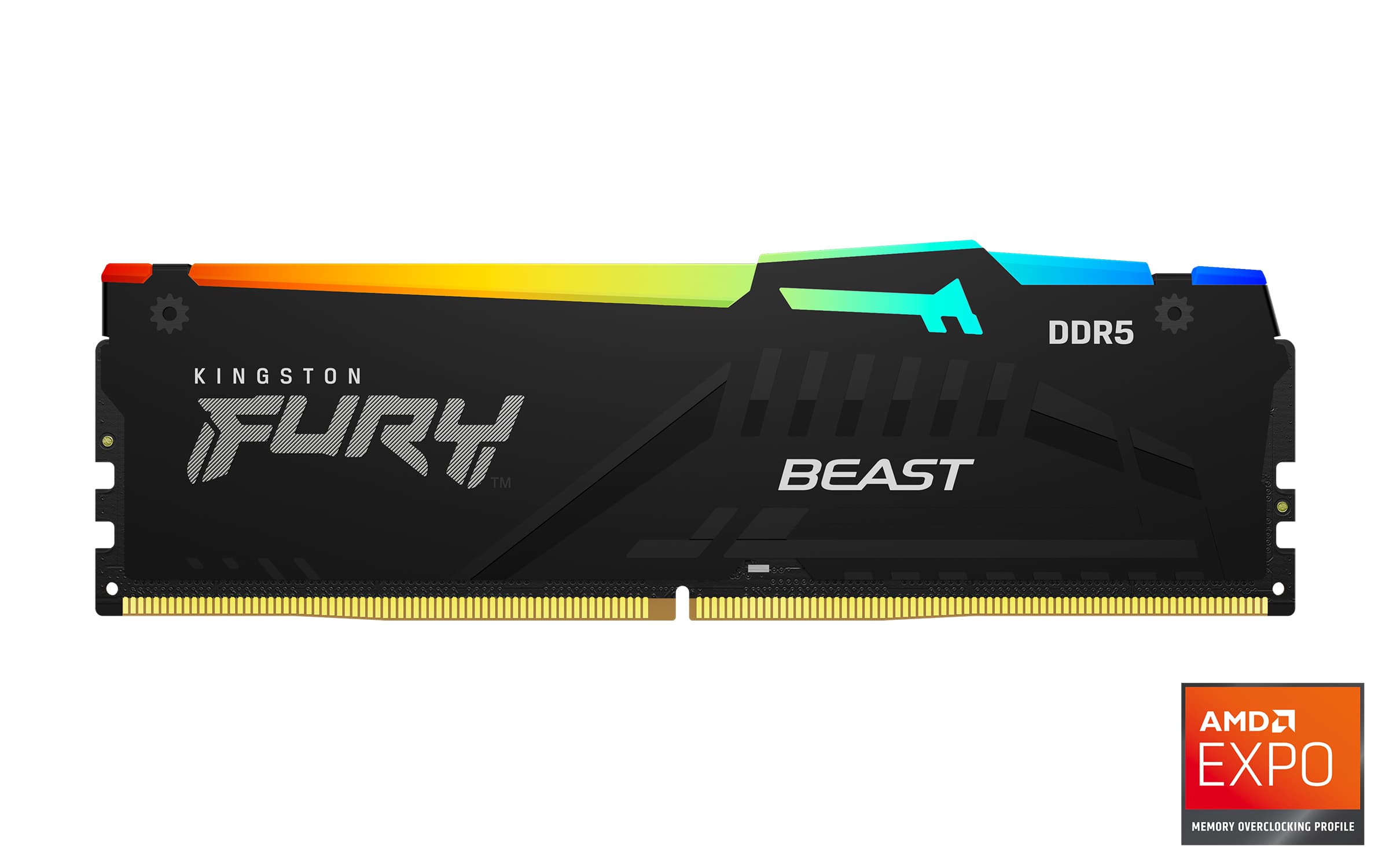 Kingston FURY Beast EXPO DDR5 16GB 5600MHz CL36 1x16GB RGB Black
