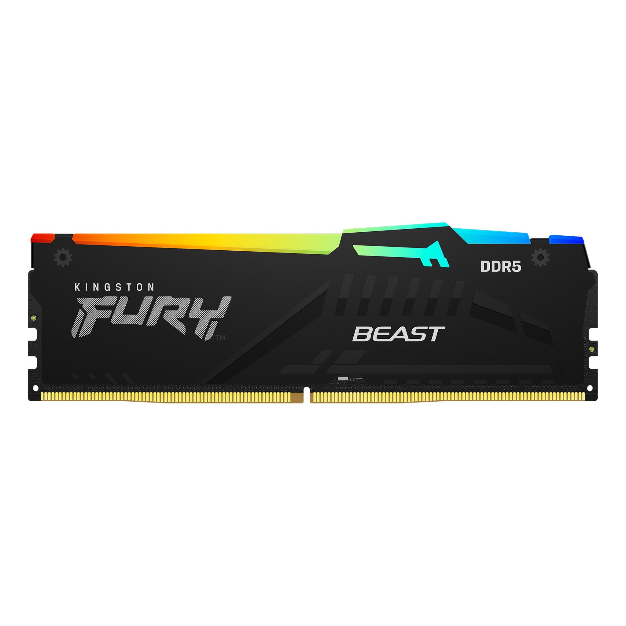 Kingston FURY Beast EXPO DDR5 8GB 5600MHz CL36 1x8GB RGB Black