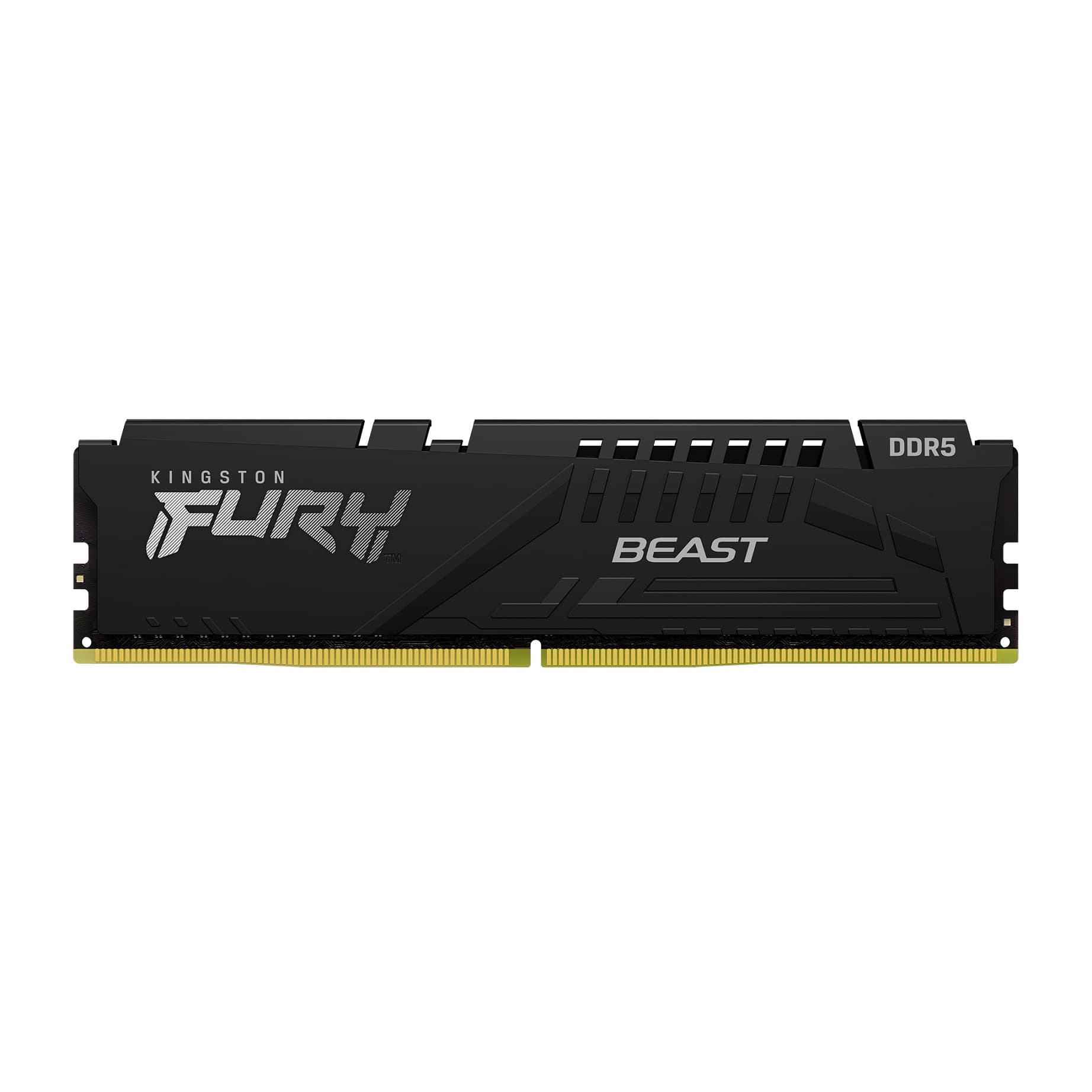 Kingston FURY Beast EXPO DDR5 32GB 6000MHz CL36 1x32GB Black
