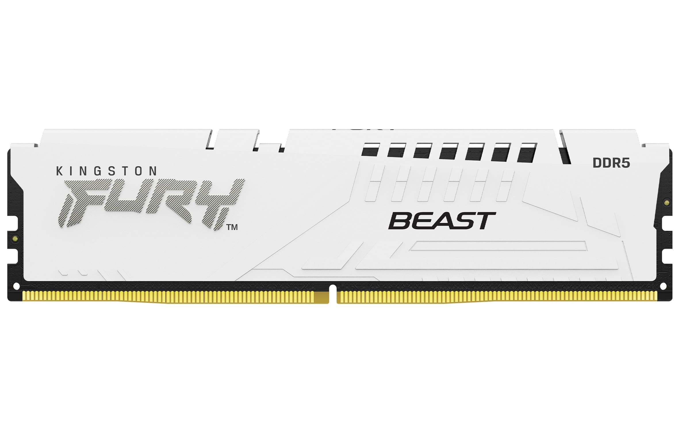 Kingston FURY Beast EXPO DDR5 16GB 6000MHz CL30 1x16GB White