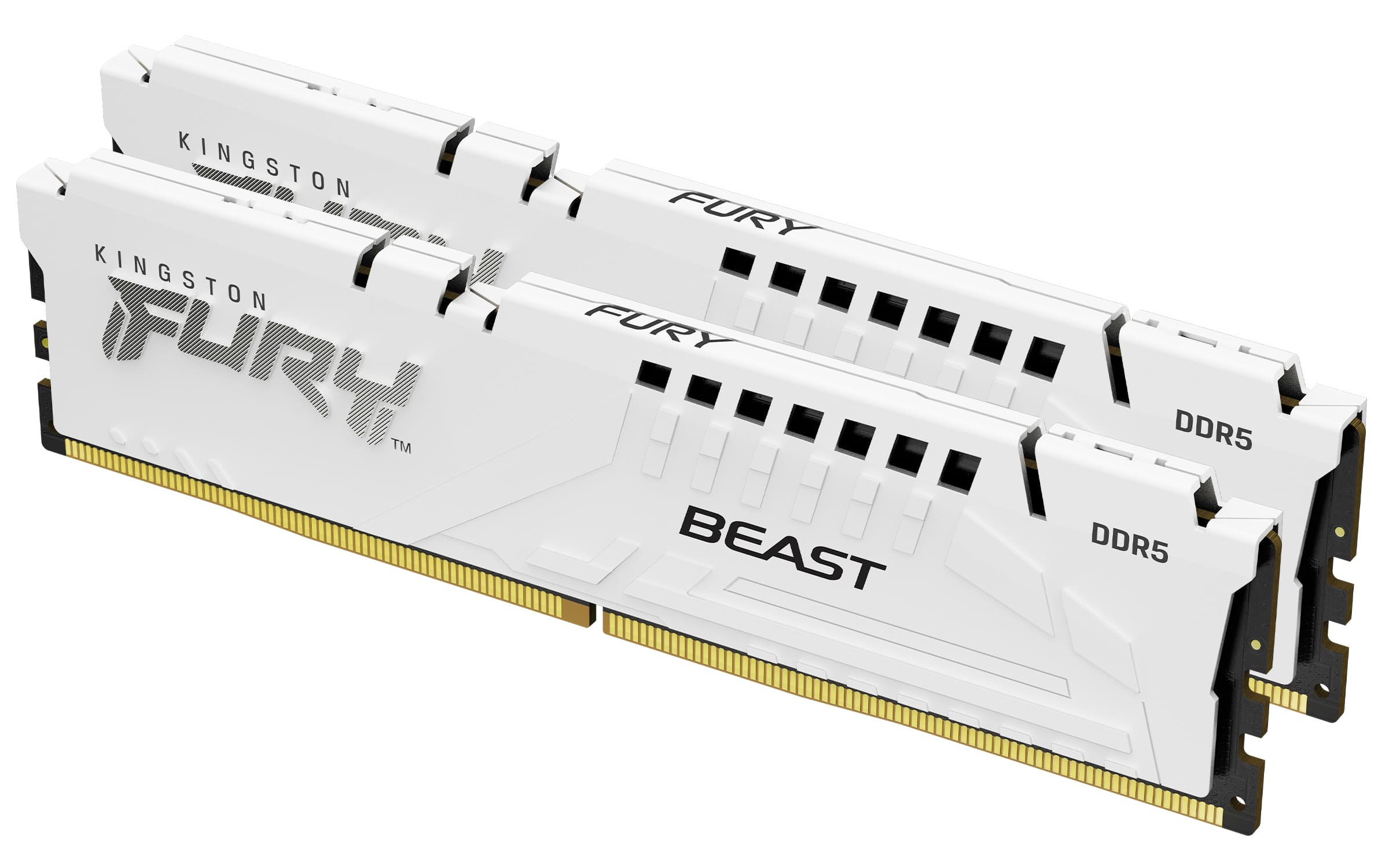 Kingston FURY Beast EXPO DDR5 32GB 6000MHz CL30 2x16GB White