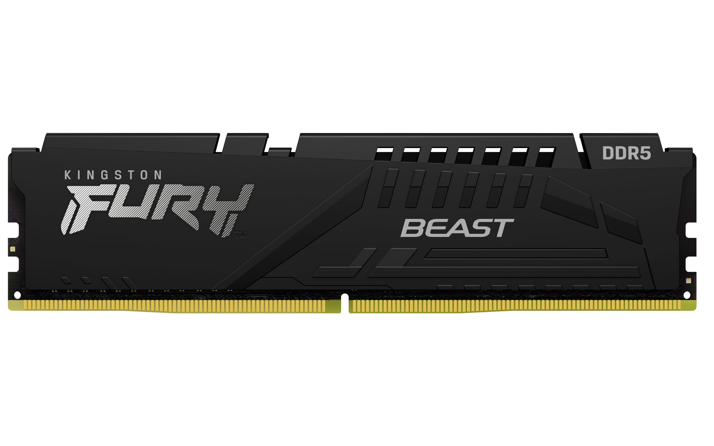 Kingston FURY Beast EXPO DDR5 16GB 6400MHz CL32 1x16GB Black