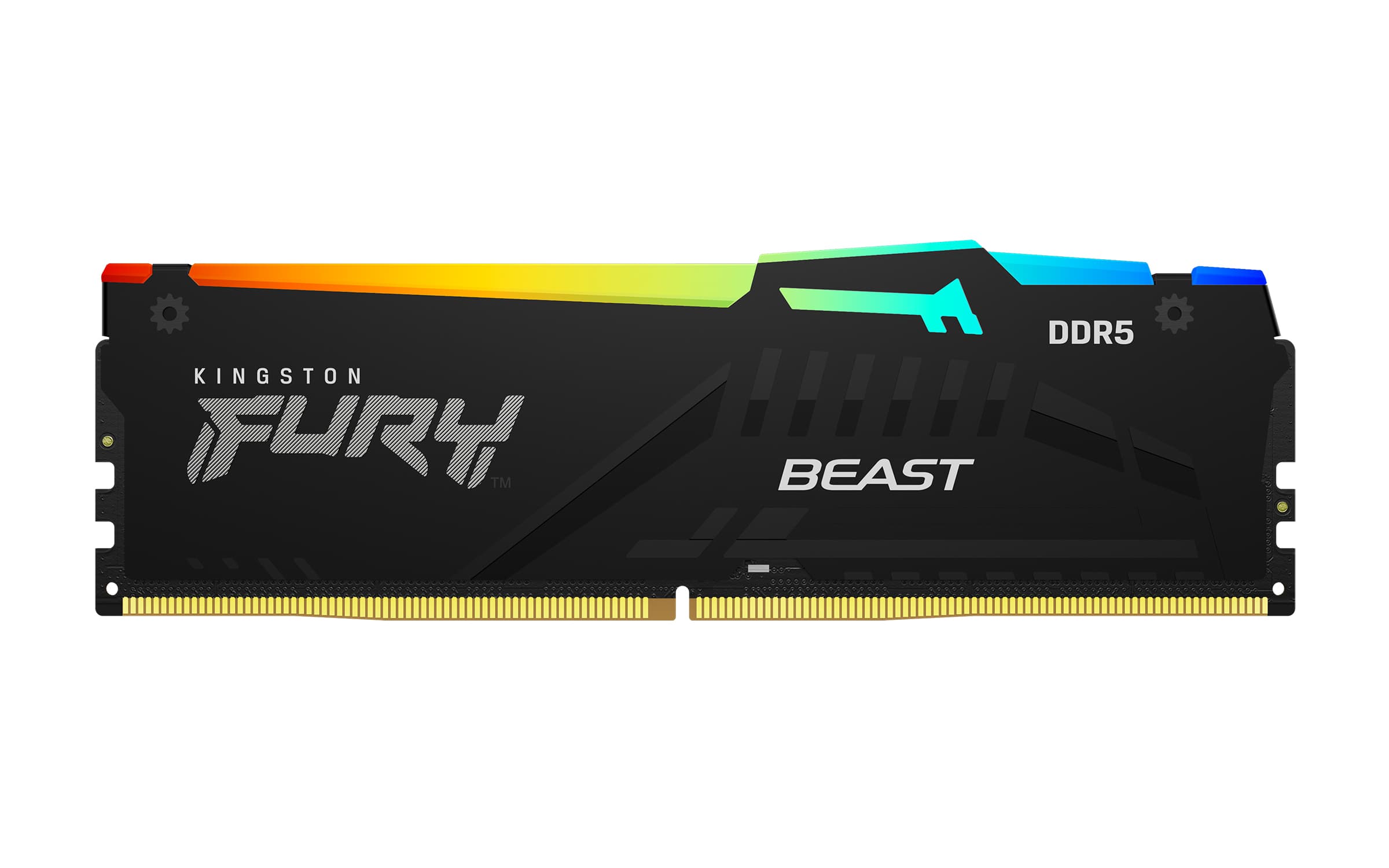 Kingston FURY Beast EXPO DDR5 16GB 6400MHz CL32 1x16GB RGB Black