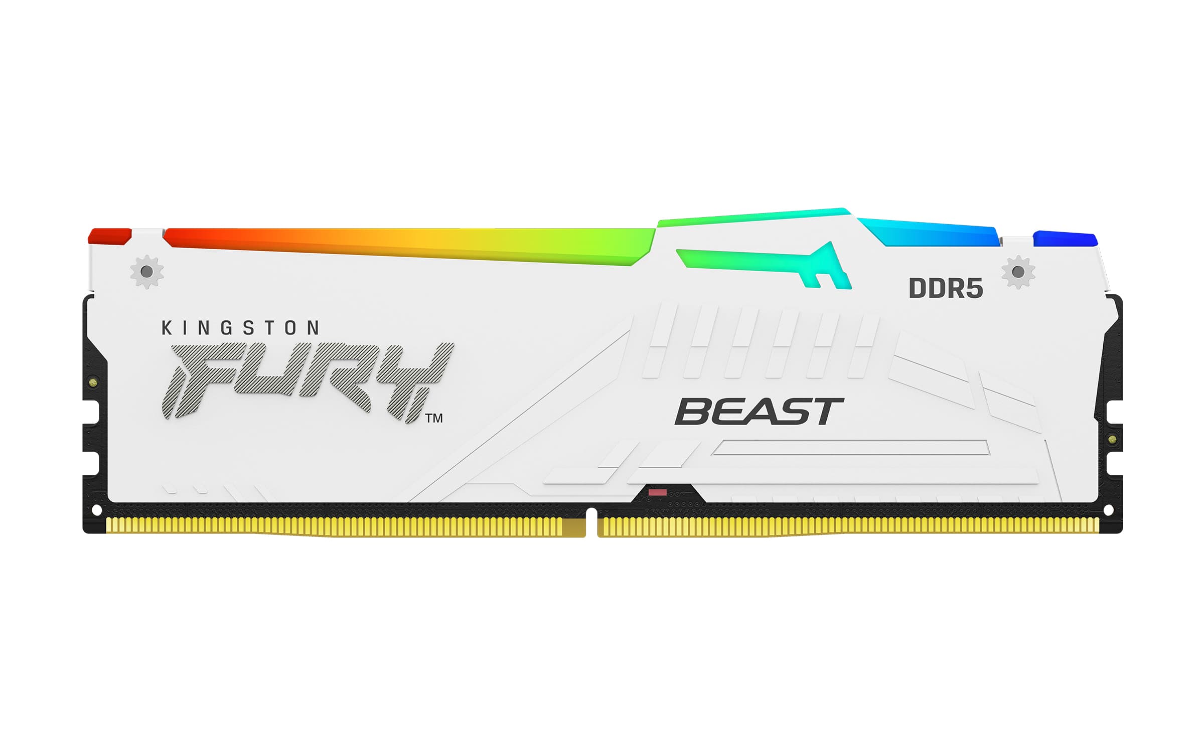 Kingston FURY Beast EXPO DDR5 16GB 6000MHz CL36 1x16GB RGB White