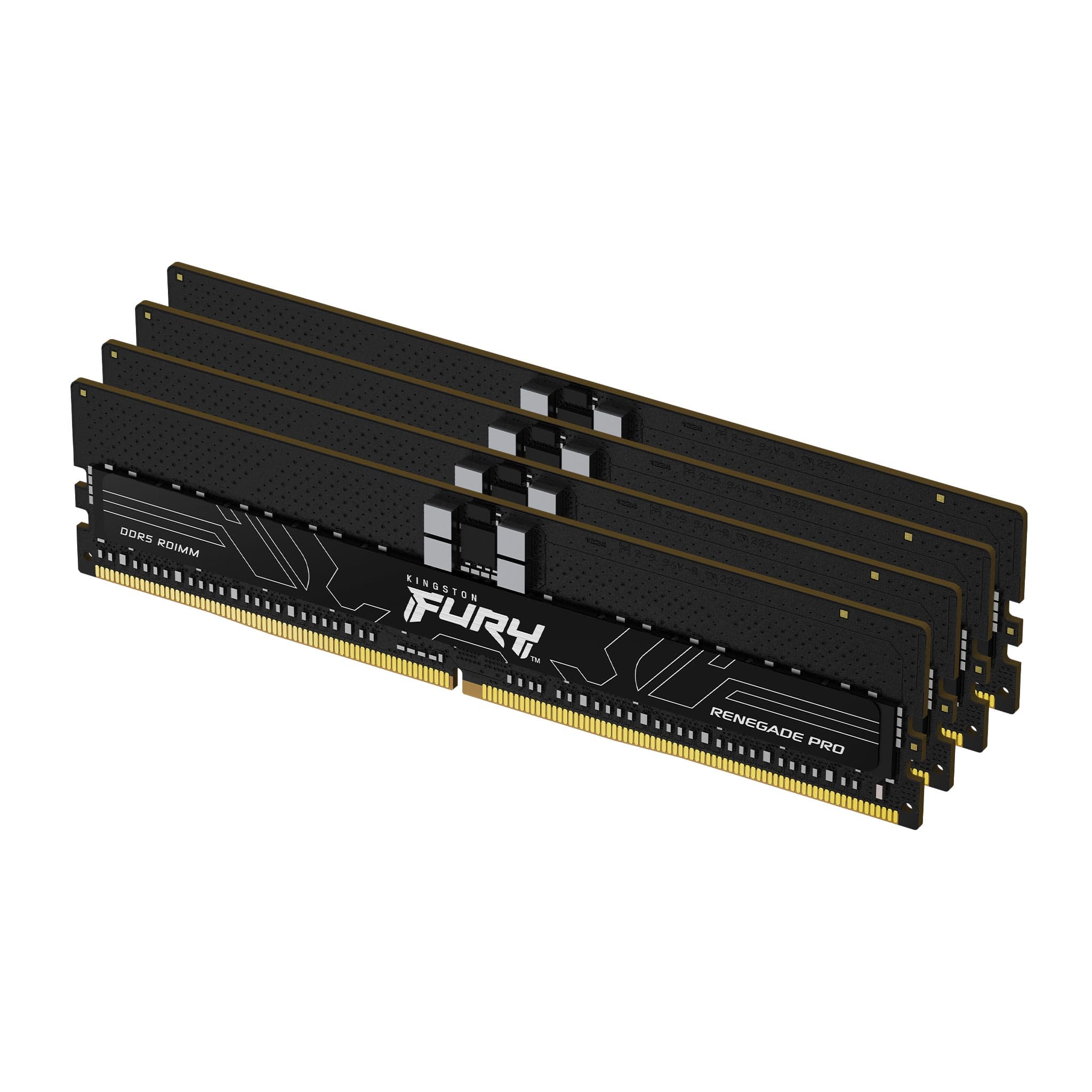 Kingston FURY Renegade Pro