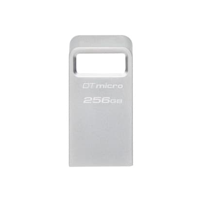 Kingston DataTraveler Micro 256GB USB 3.2 USB-A Stříbrná
