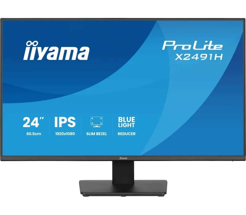 iiyama ProLite (X2491H-B1)