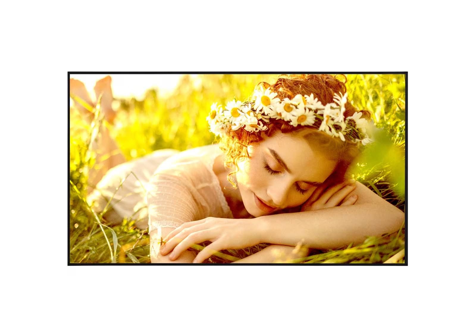 65" LG LED 65UL5 - UHD,500cd,WebOS,24