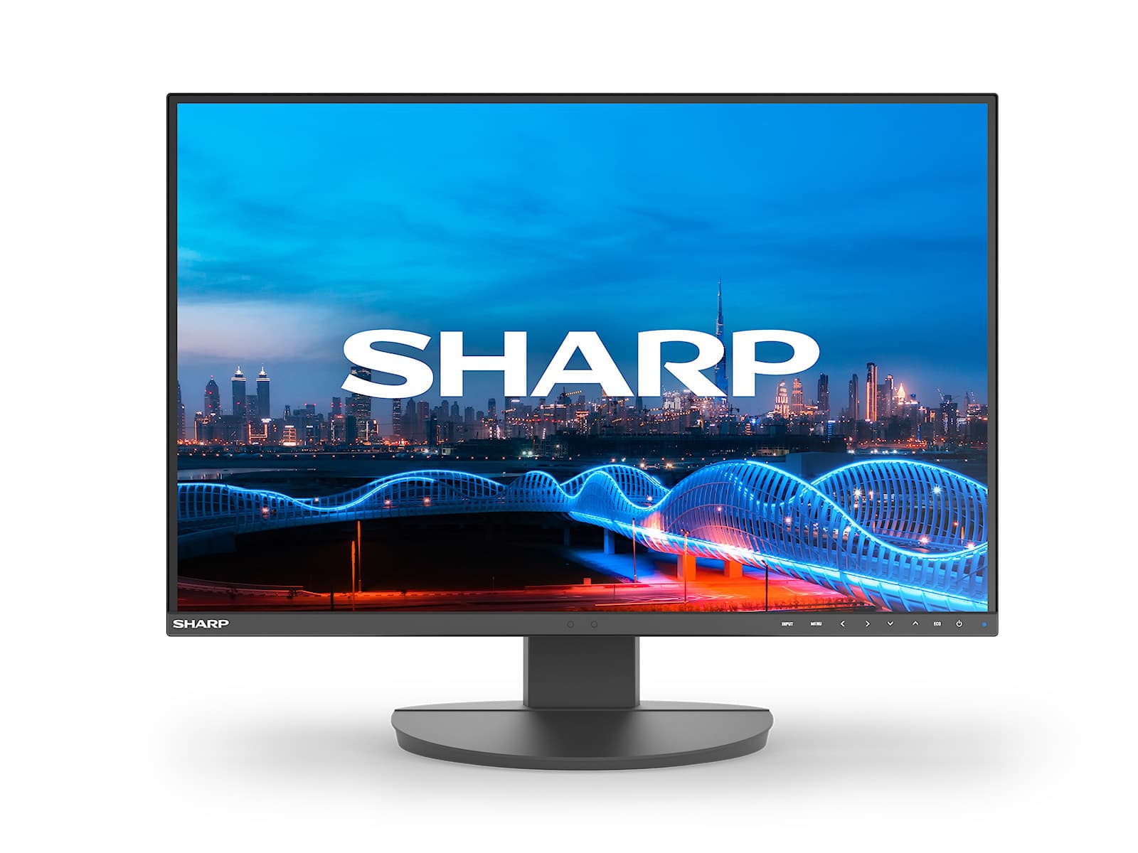 NEC Sharp MultiSync (EA241W)