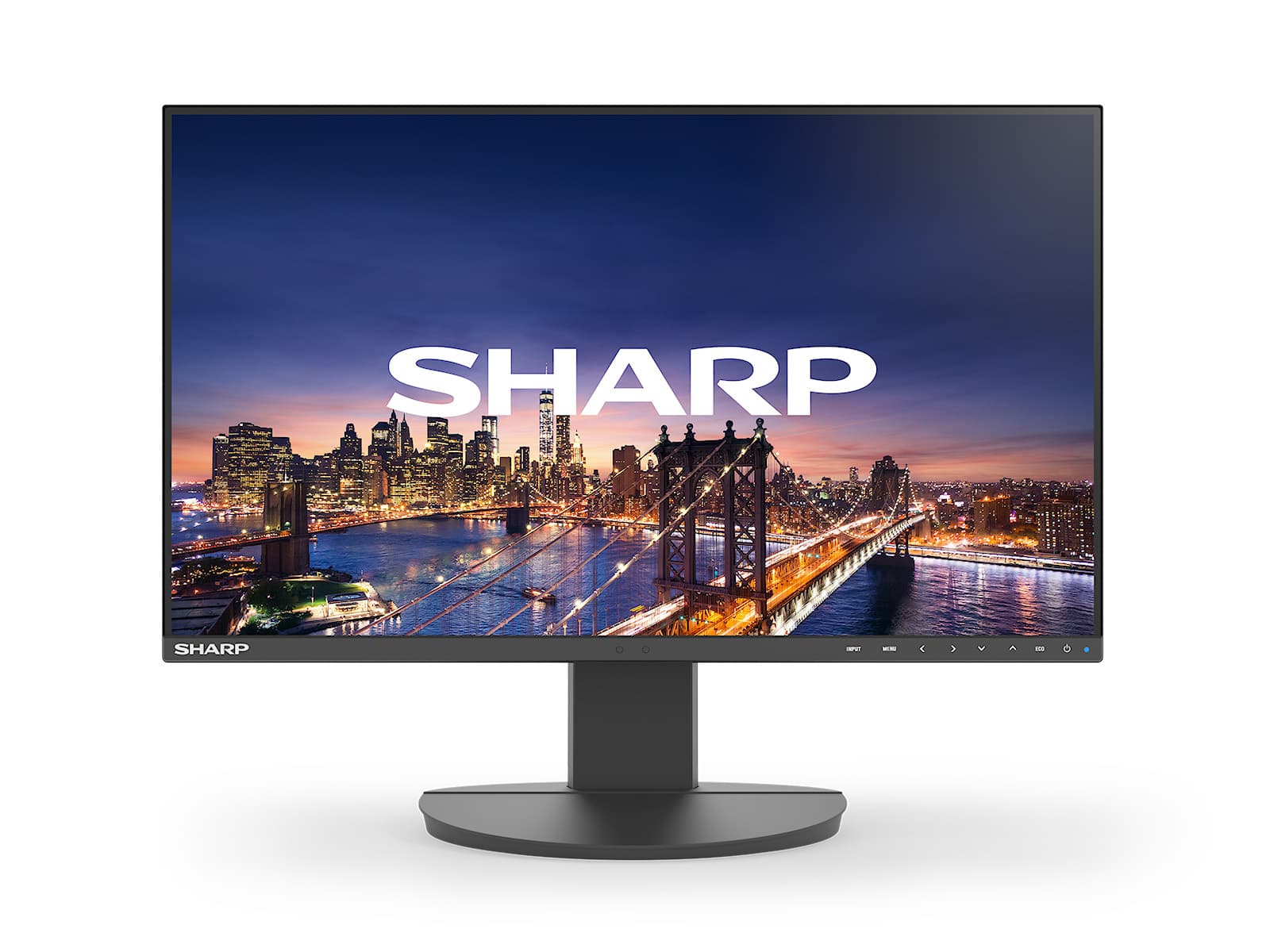 NEC Sharp MultiSync (EA241F)
