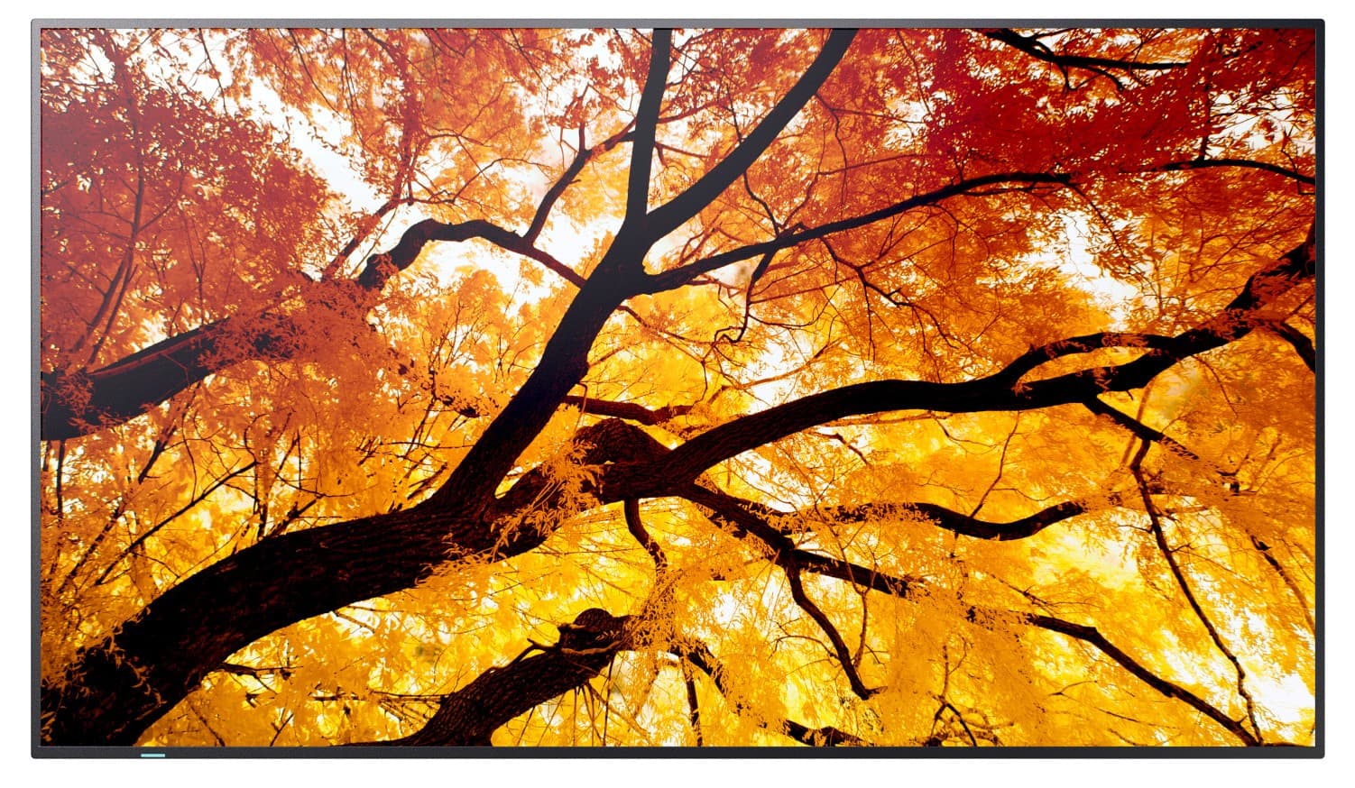 NEC Sharp MultiSync M502 50" VA 4K UHD 60Hz 8ms Černá 3R