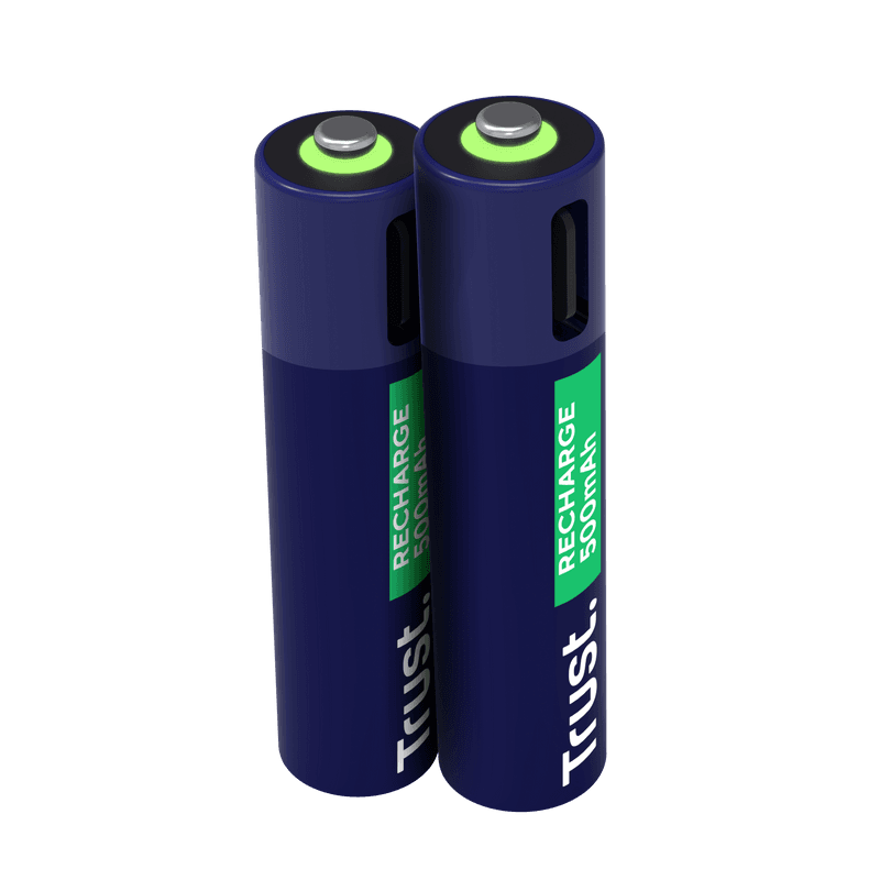 TRUST USB-C RECHARGEABLE BATTERIES 2P - AAA