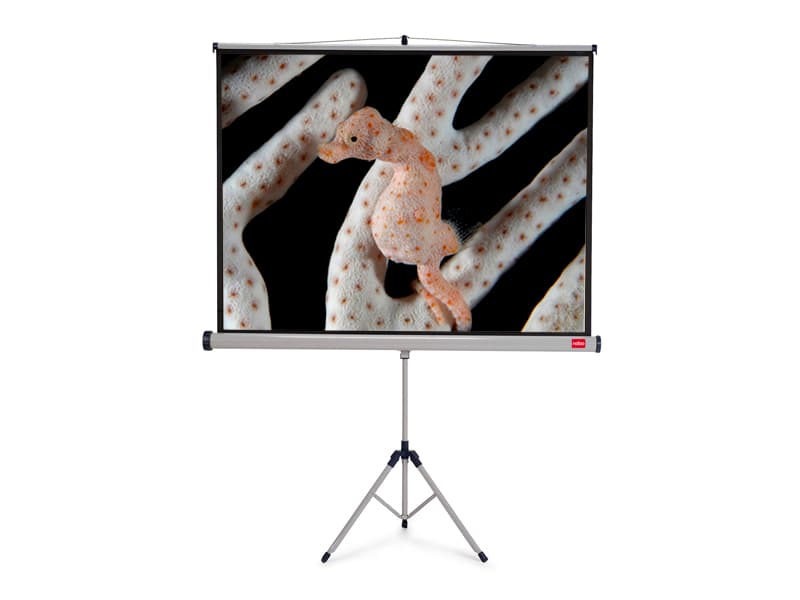 NOBO Tripod plátno š200 x v151 -matný bílý,4:3