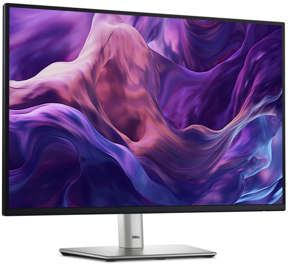 Dell (P2425E)