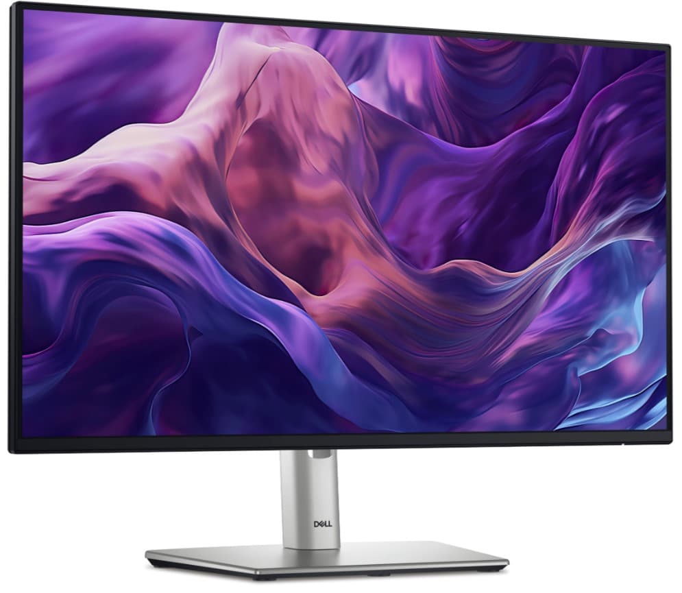 Dell (P2425H)