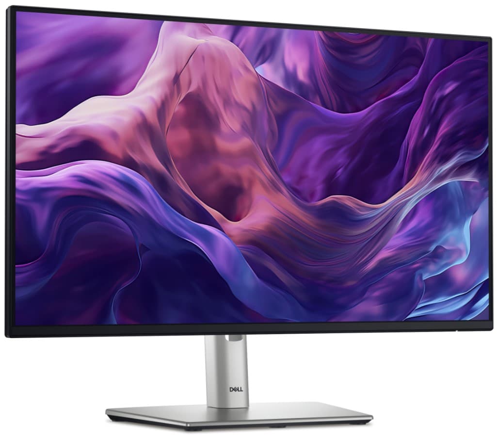 Dell (P2425HE)