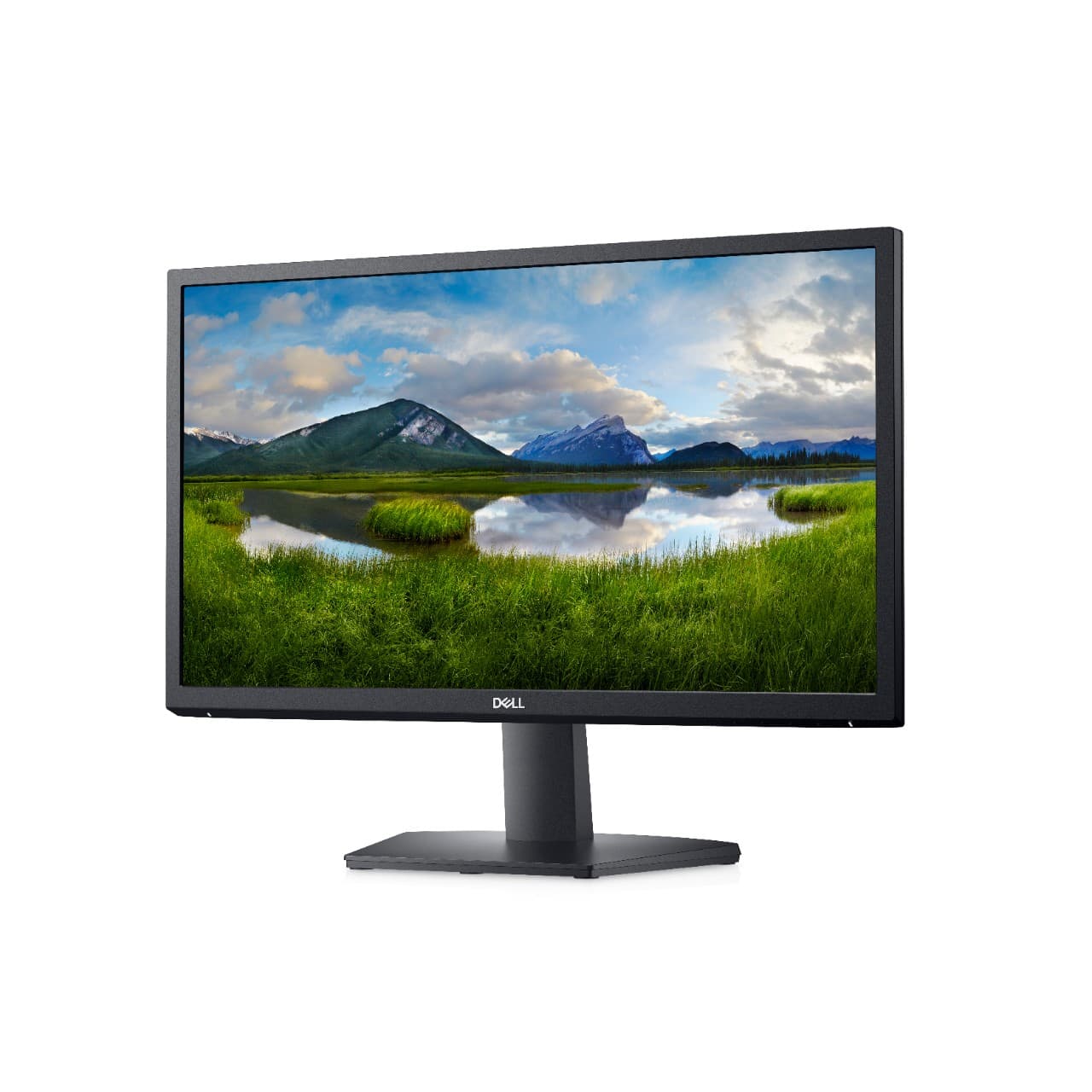 Dell (SE2222H)