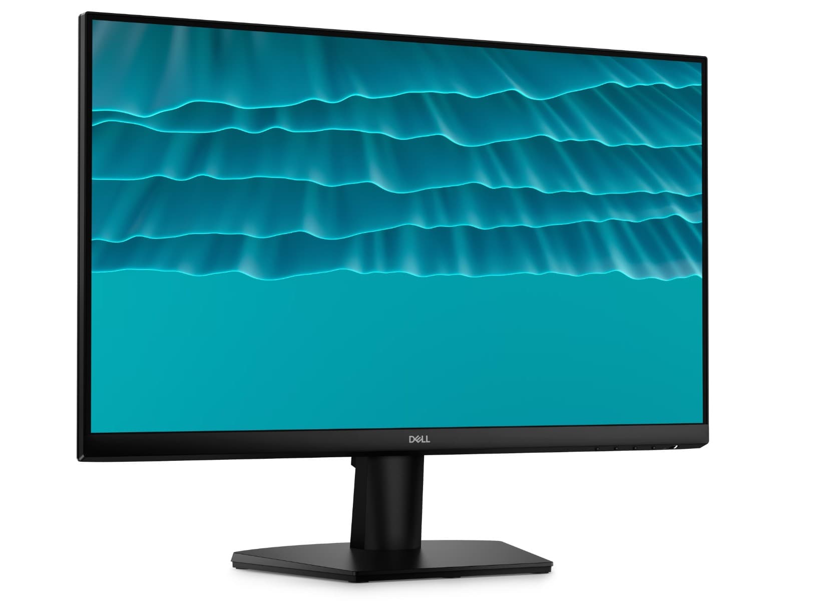 Dell (SE2426H)