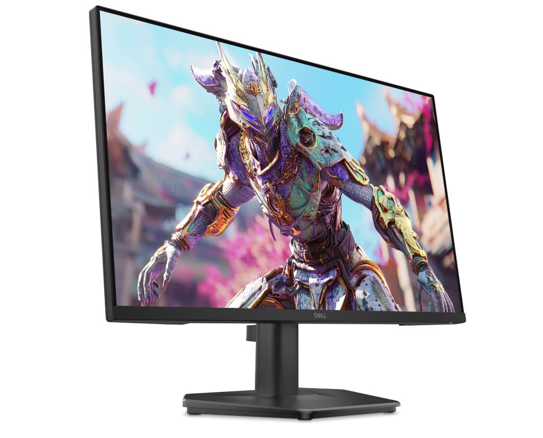 Dell (SE2426HG)