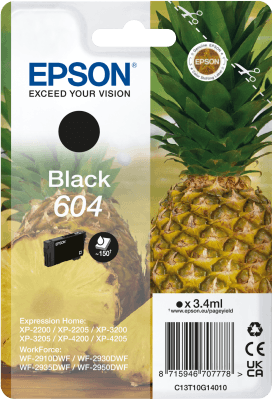 EPSON Singlepack Black 604 Ink