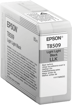 Epson Singlepack Photo Light Light Black T850900 UltraChrome HD ink 80ml
