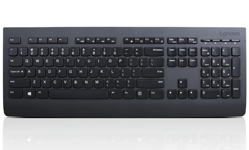 Lenovo Professional Bezdrátová USB CZ layout Černá