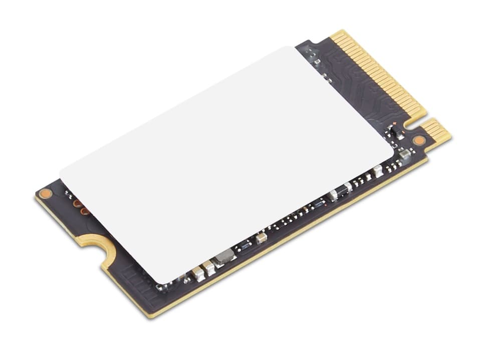 Lenovo ThinkPad 256GB SSD M.2 NVMe Černá 1R