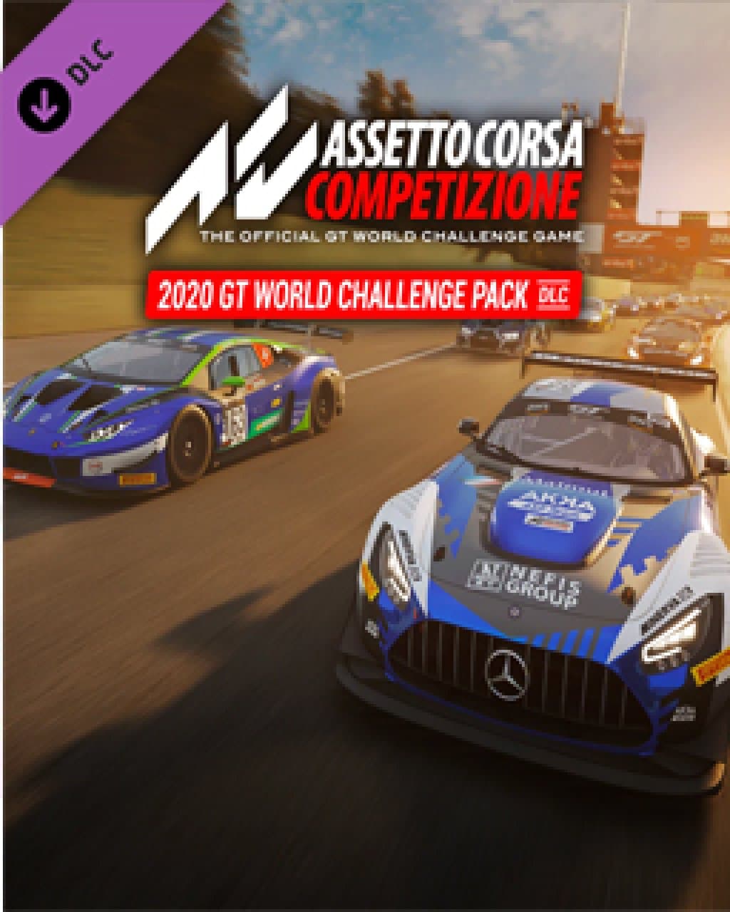 ESD Assetto Corsa Competizione 2020 GT World Chall
