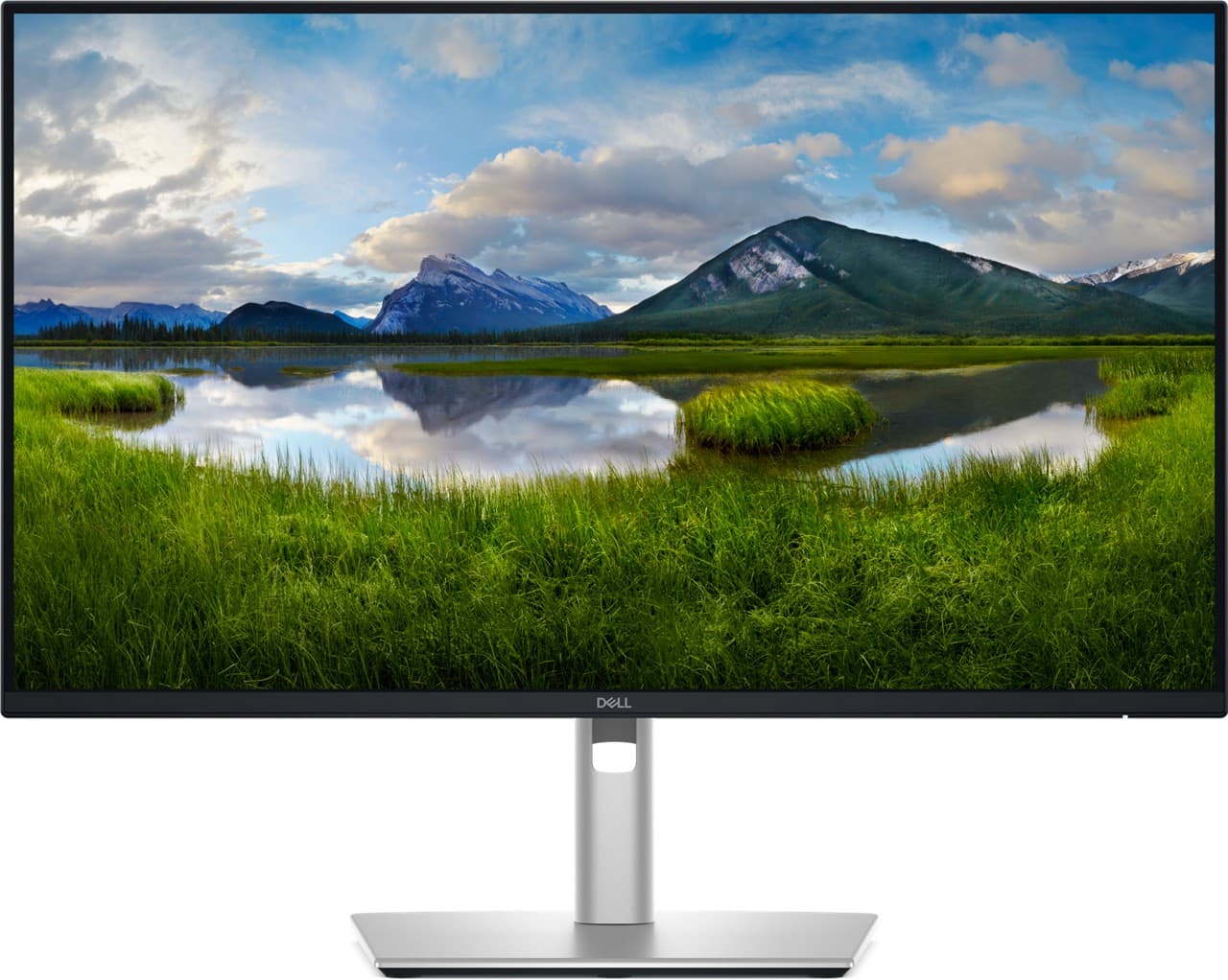 Dell Pro Plus (P2425DE)